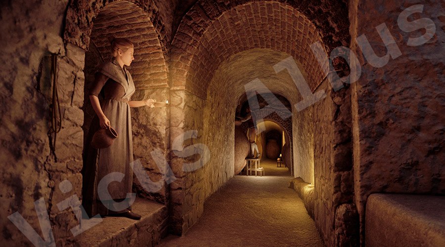 Estudio sobre los restos arqueológicos del palacio del duque de Sevillano